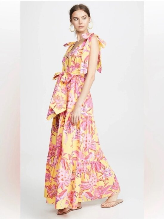 Banjanan Dresses & Skirts - Banjanan Carnation Flamingo Cotton Maxi Dress XS Pink Yellow Tropical